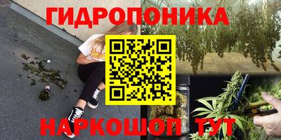 ГАЛЛЮЦИНОГЕННЫЕ ГРИБЫ Славянск-на-Кубани