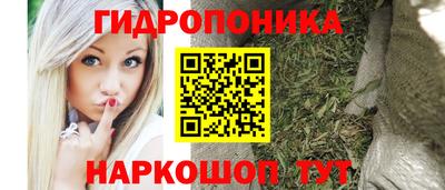 метадон Сланцы